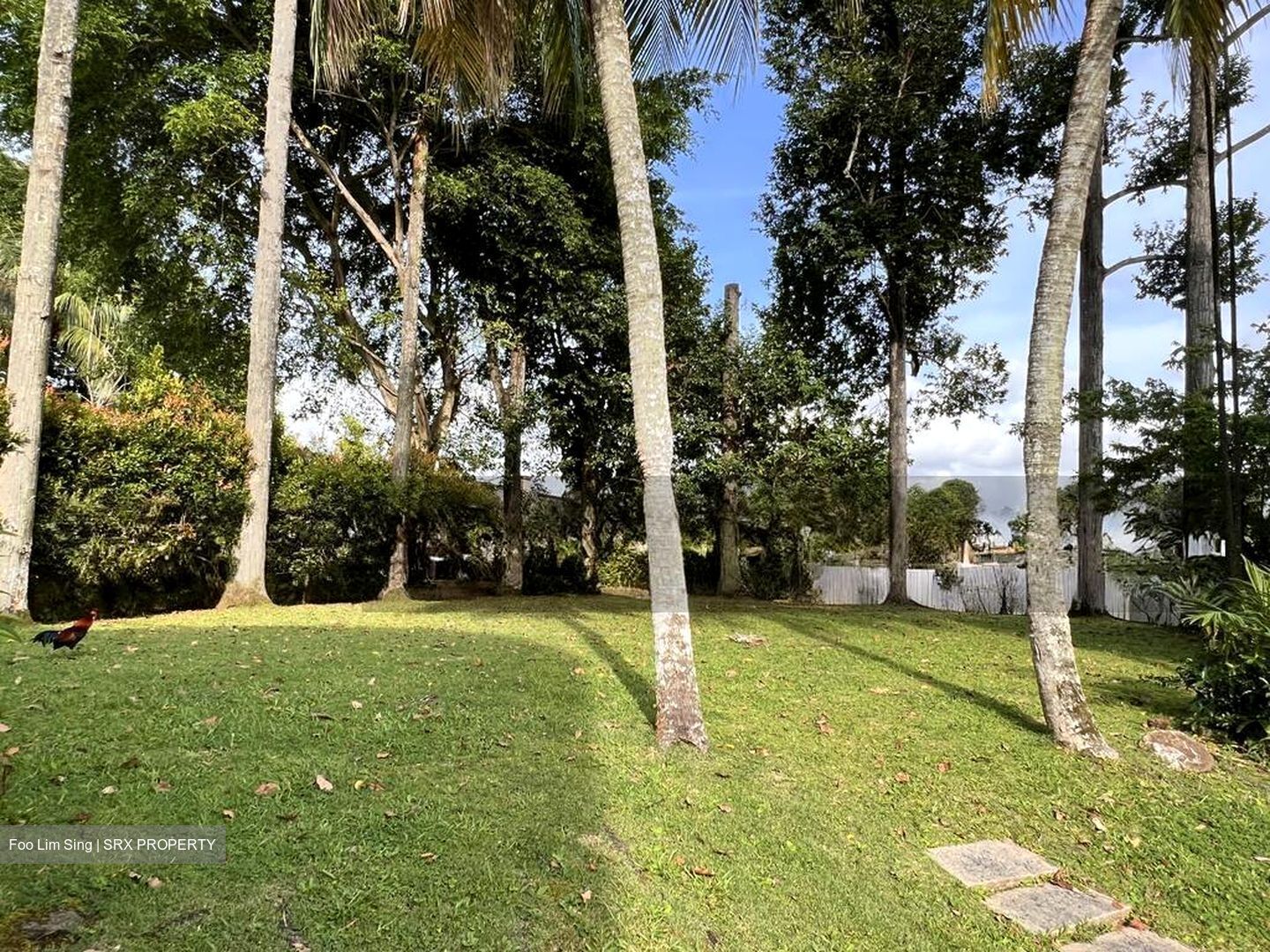 Swiss Club Road (D11), Detached #499057341